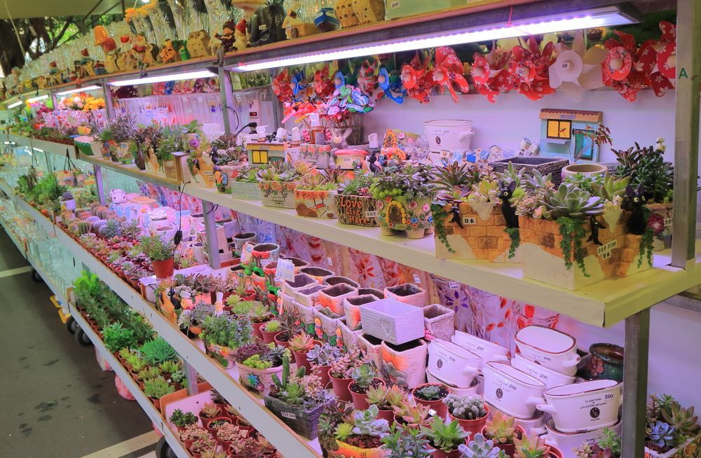 Jianguo Flower Market