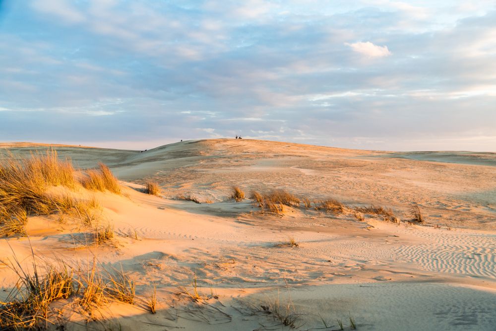 Dunes at Jockey’s Ridge State Park