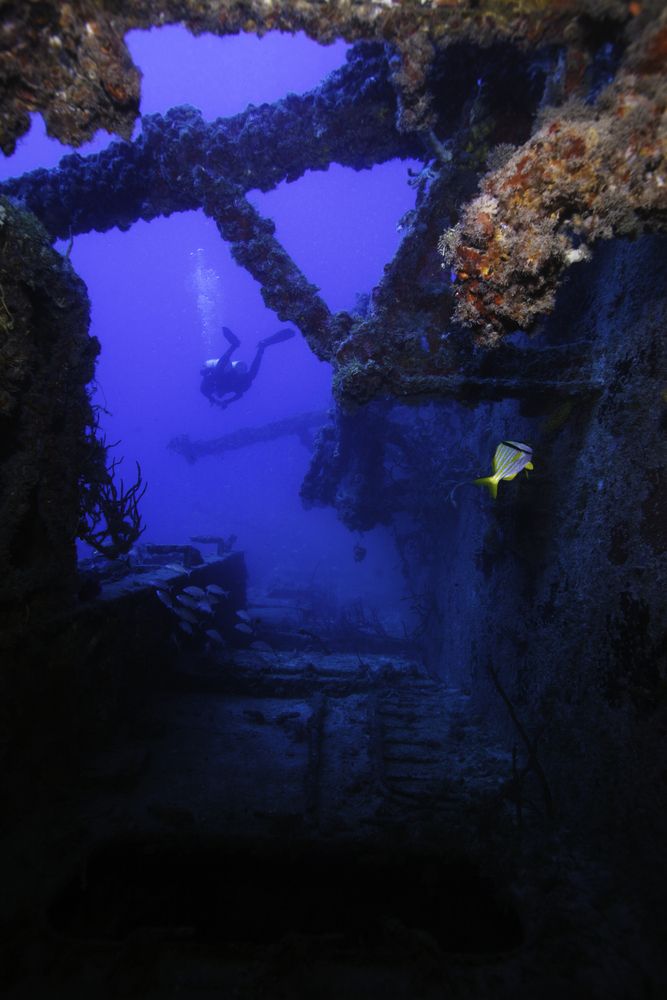 Scuba diver swimming through the reefs at John Pennekamp Coral Reef State Park