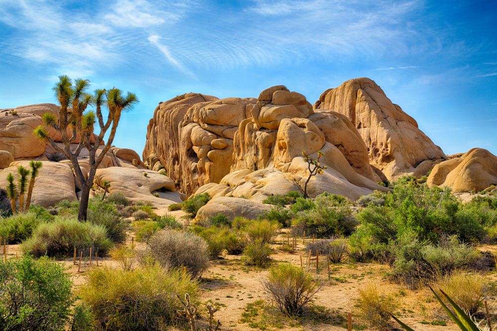 Rock formations at Joshua Tree National Park
