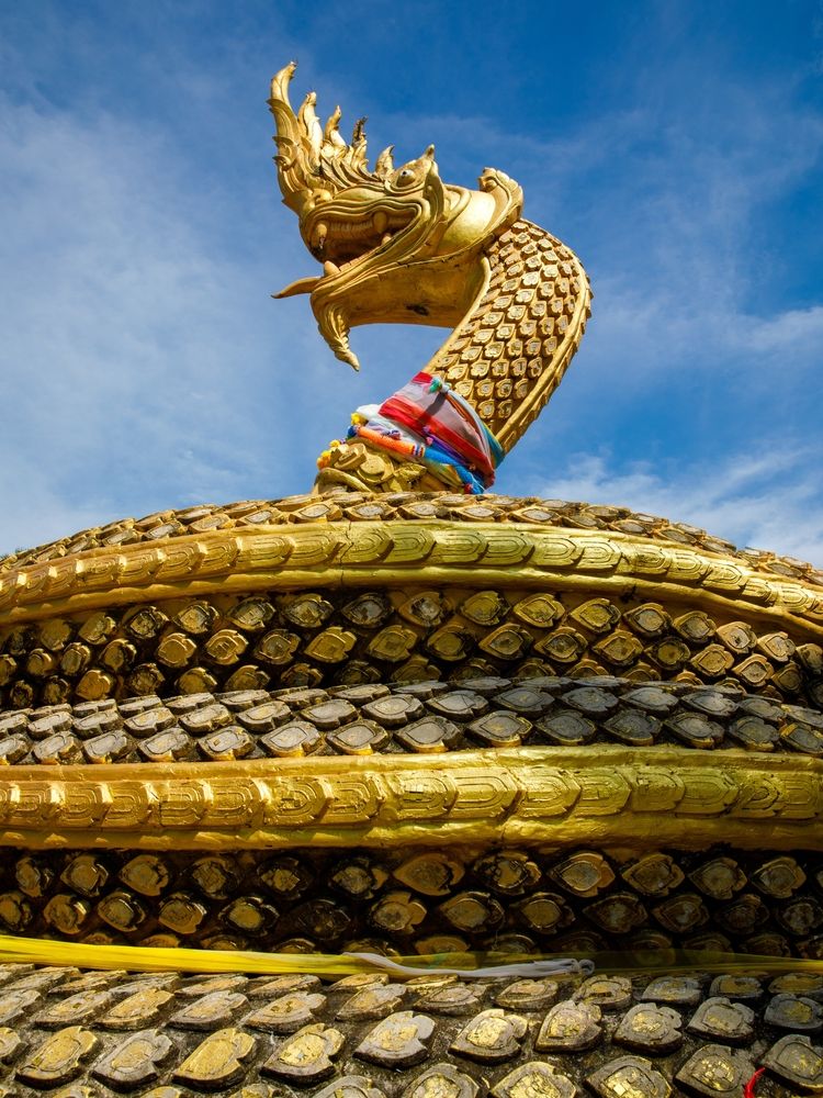 Close details of the beautiful Karon Dragon Image