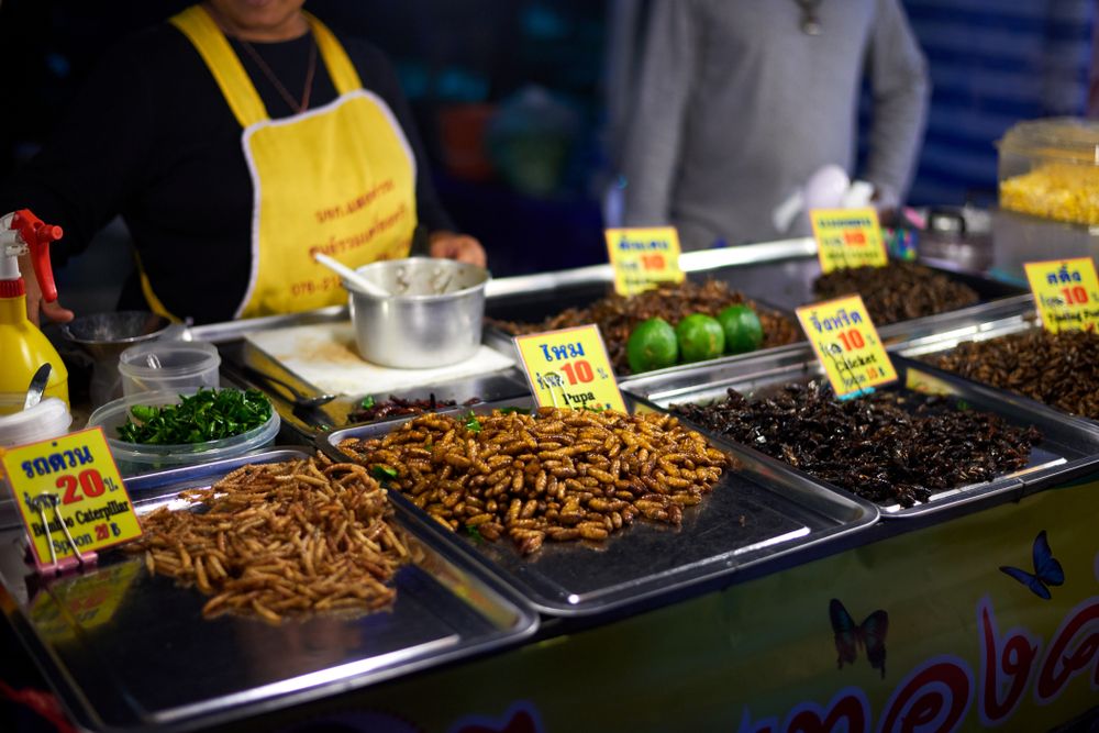 Exotic street food of Karon Night Market