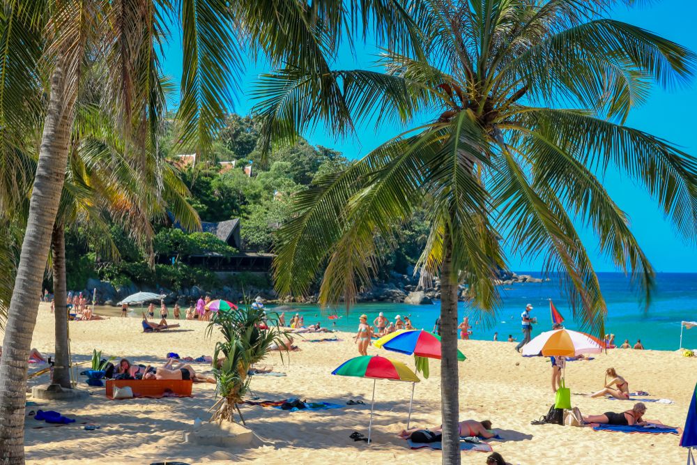 Palm trees along Karon Beach shore