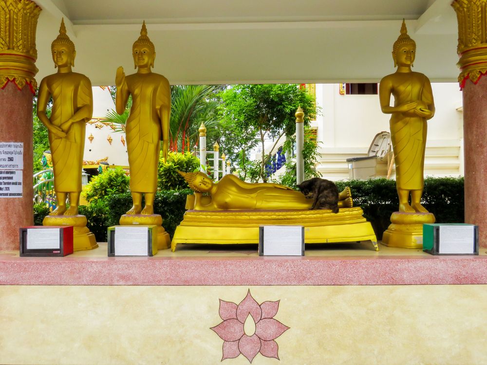 Golden statues of Wat Suwan Khiri Khet