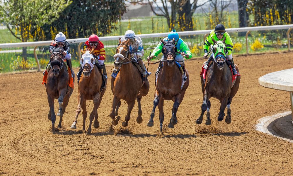 Horse-racing at Keeneland