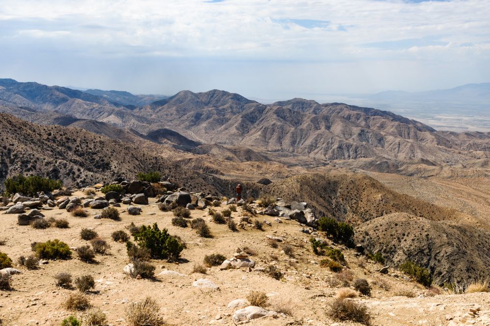 Desert landscape at Keys View