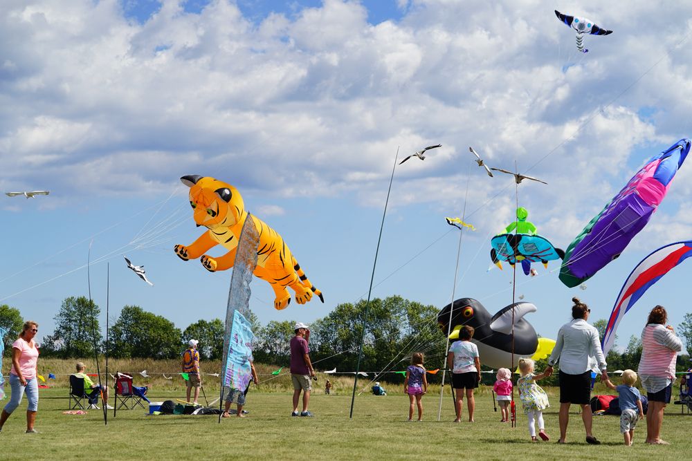 Colorful kites filling the sky during the Kites Over Lake Michigan Event