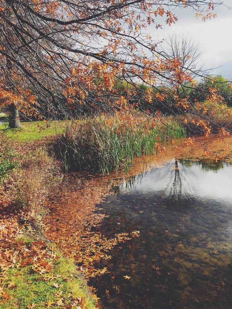 Scenic view of Knox Farm State Park