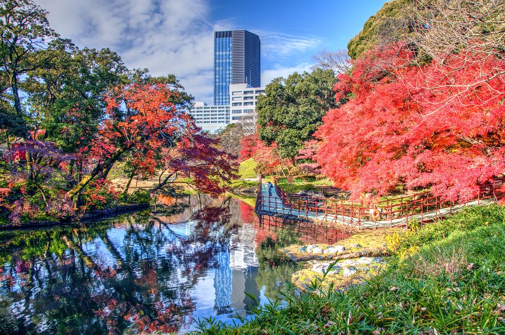 Koishikawa Korakuen Gardens