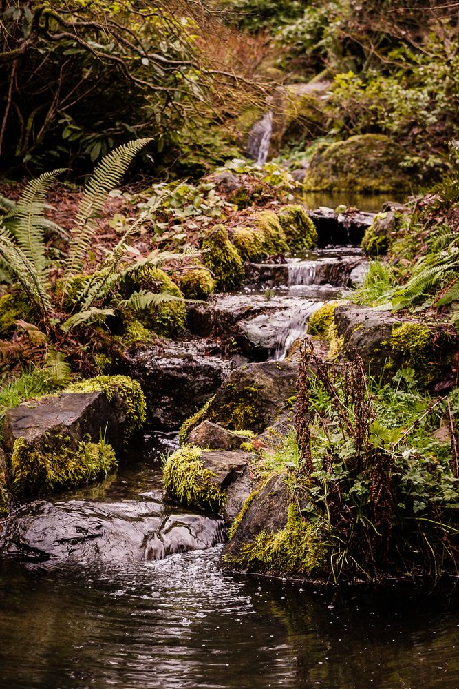 Waterfall at Kubota Garden