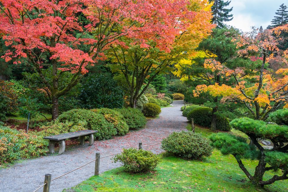 Kubota Garden