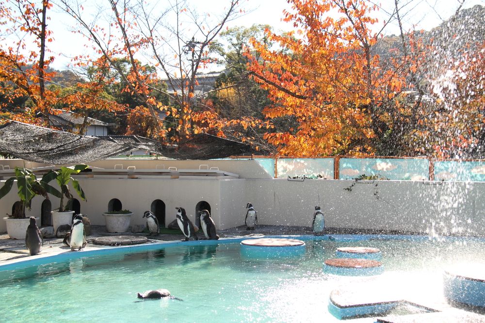 Kyoto City Zoo