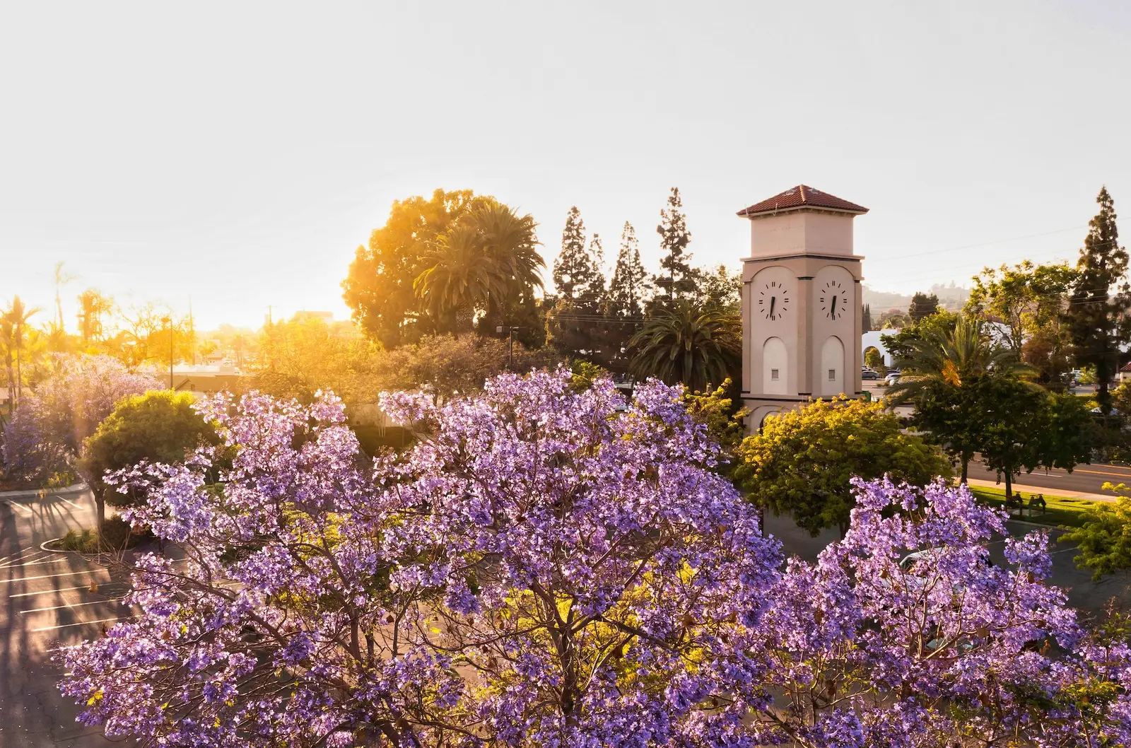 15 Free Things to Do in La Habra, CA