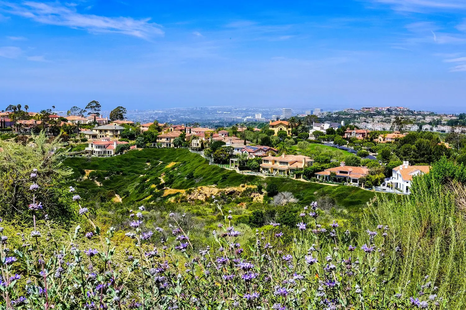 15 Best Things to Do in Laguna Hills, CA