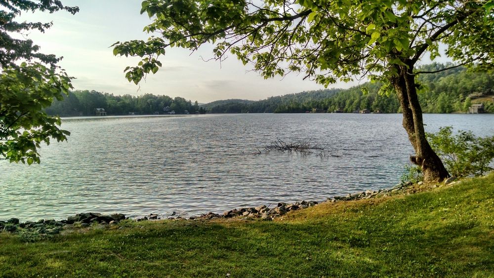 Shoreline of Lake Burton