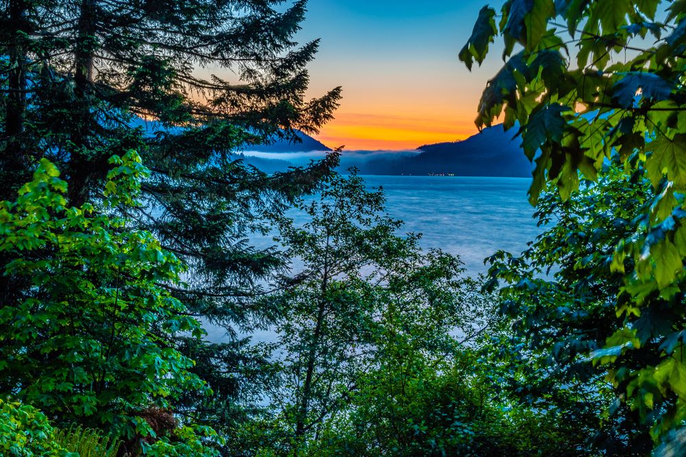 Scenic view along Lake Crescent Trail