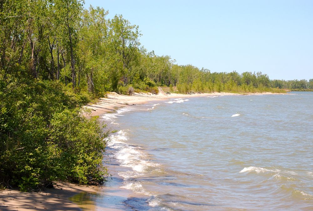 Lake Erie beach with lush green trees