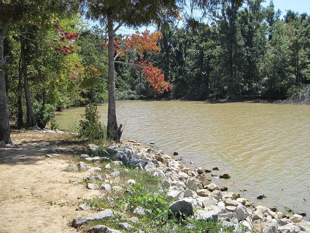 Shore at Lake Frierson State Park