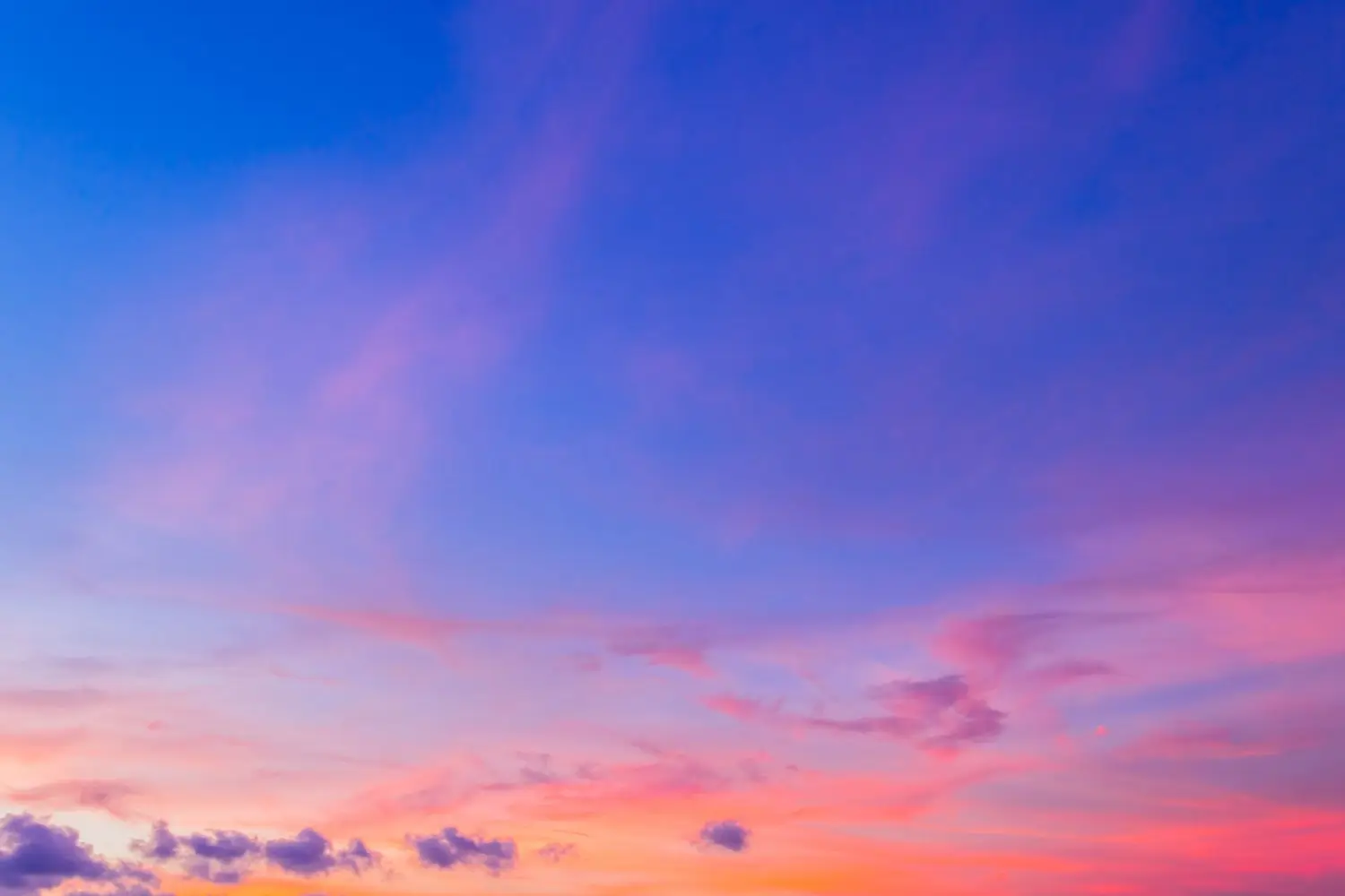 20 Best Things to Do in Lake Mary, FL