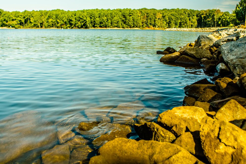 Lake Murray on a sunny day
