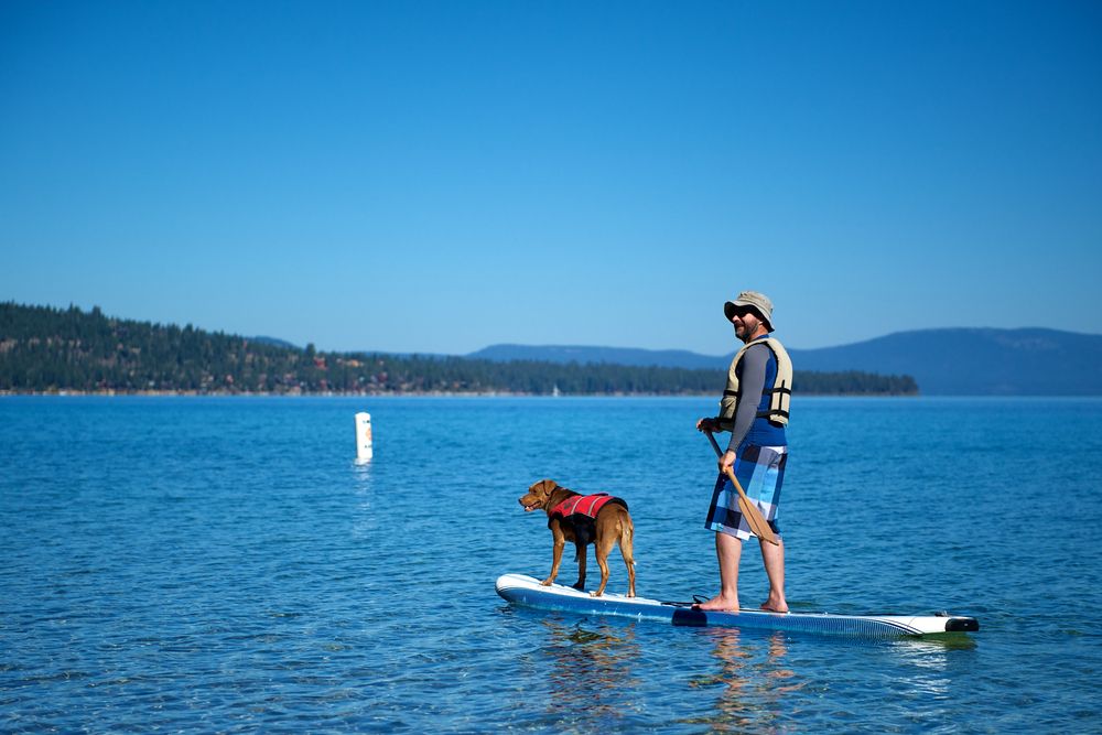 A man paddle boarding along with his dog in Lake Tahoe