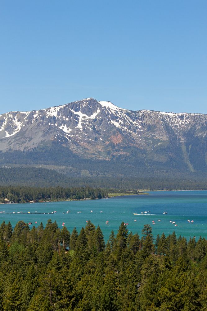 Portrait view of Lake Tahoe with a mountain and trees surrounding it.