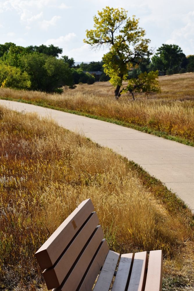 A bench at Heritage Lakewood Belmar Park