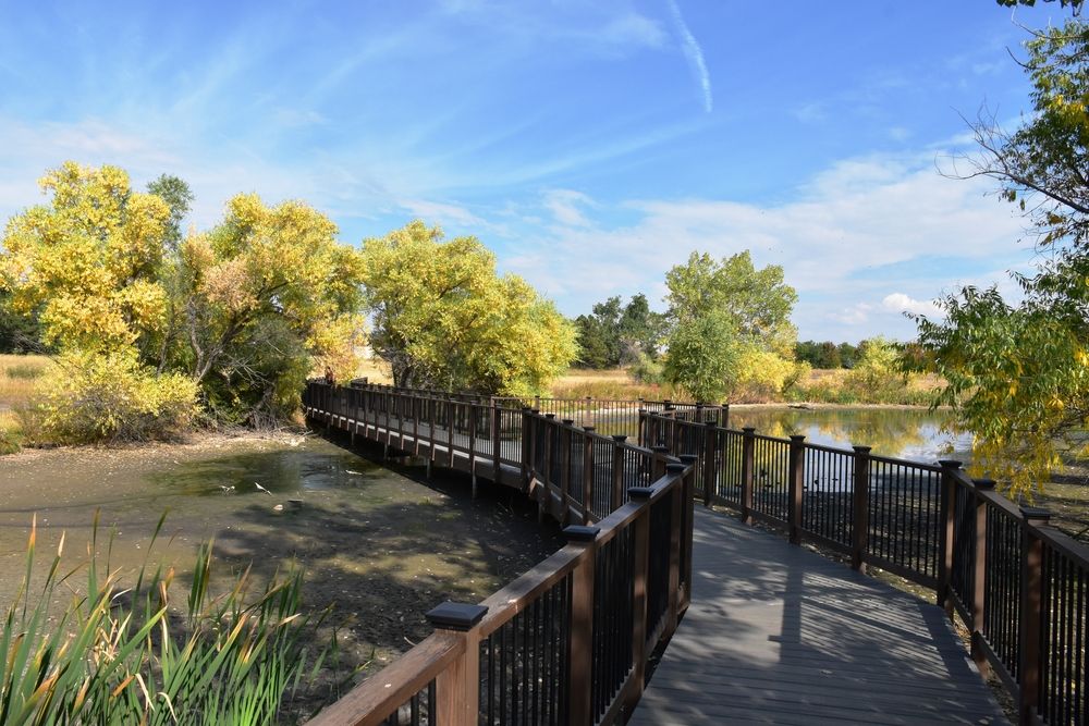 Wooden footbridge at Heritage Lakewood Belmar Park