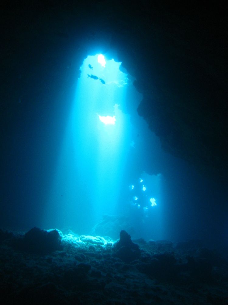 Sunlight coming through Lanai Cathedrals