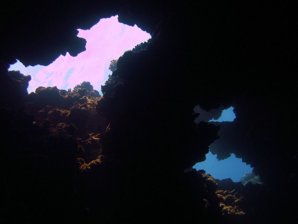 Lanai Cathedrals' opening