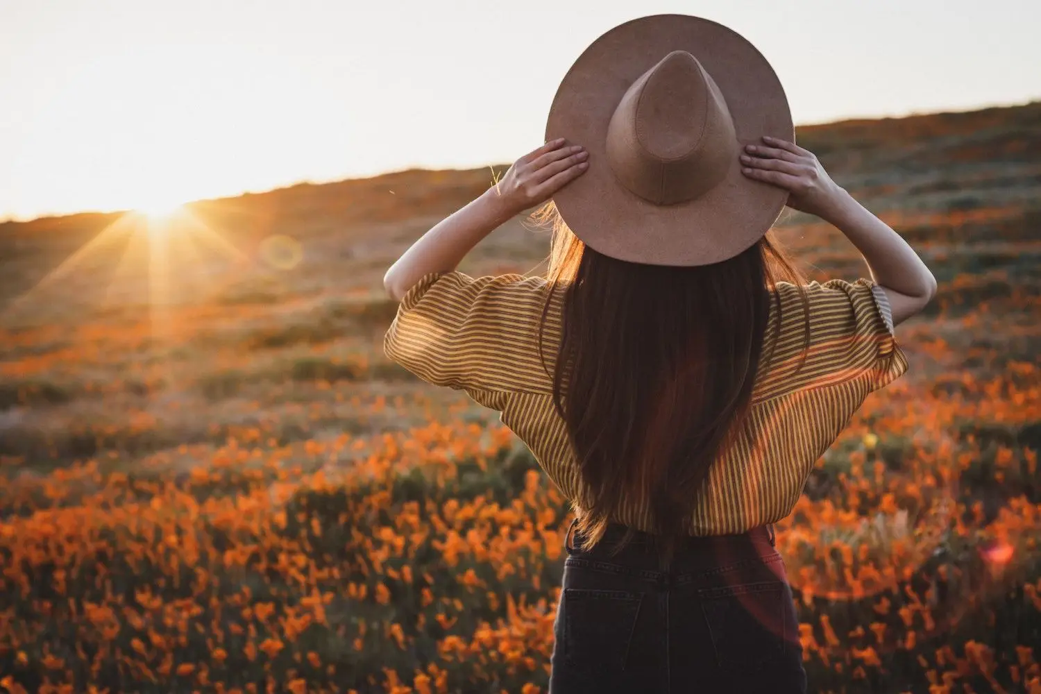 30 Best Things to Do in Lancaster, CA