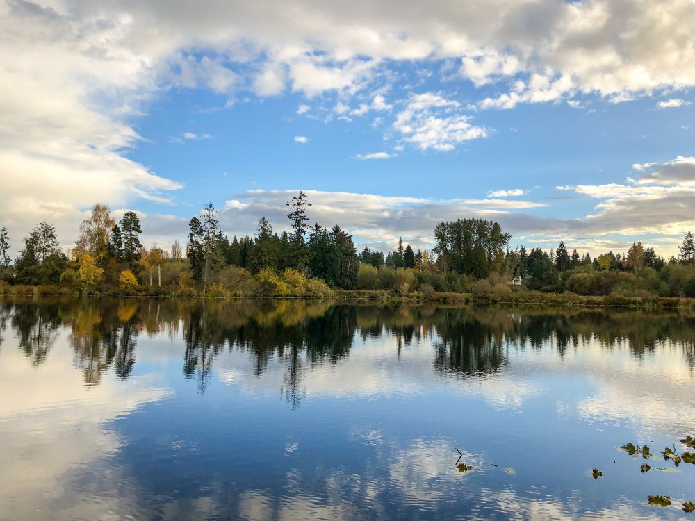 The calm waters of Larsen Lake