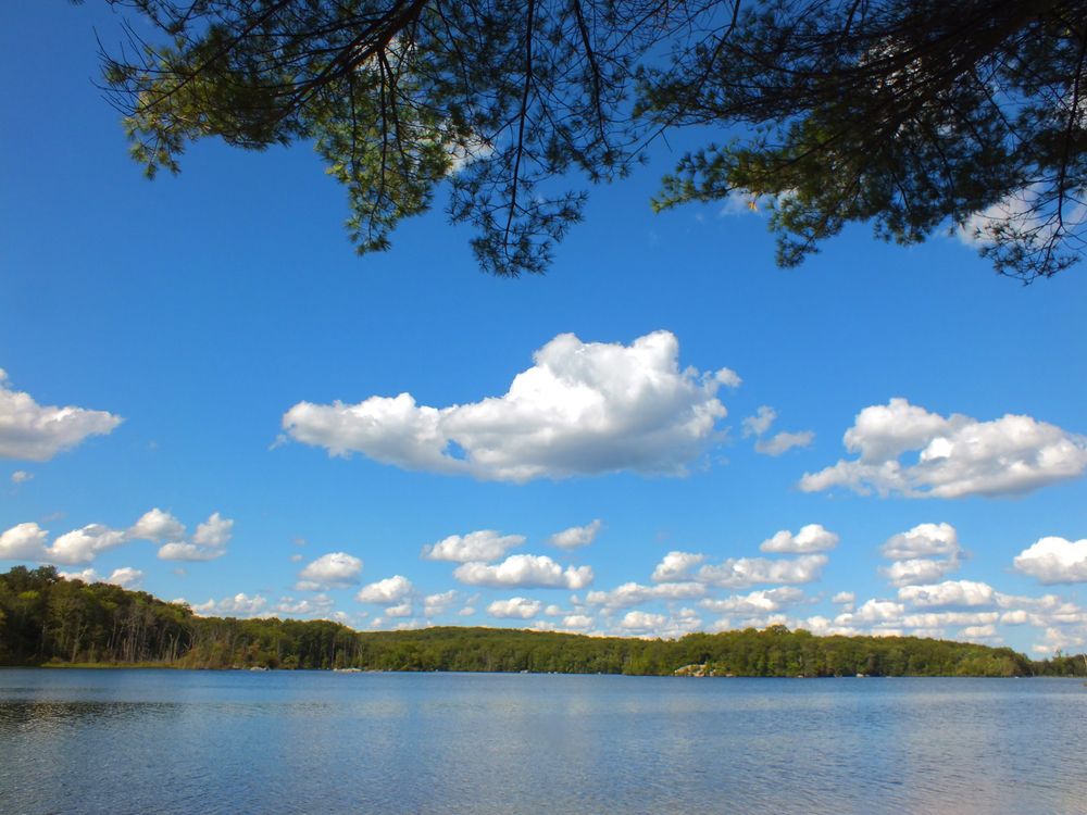 The waters of Lincoln Woods State Park