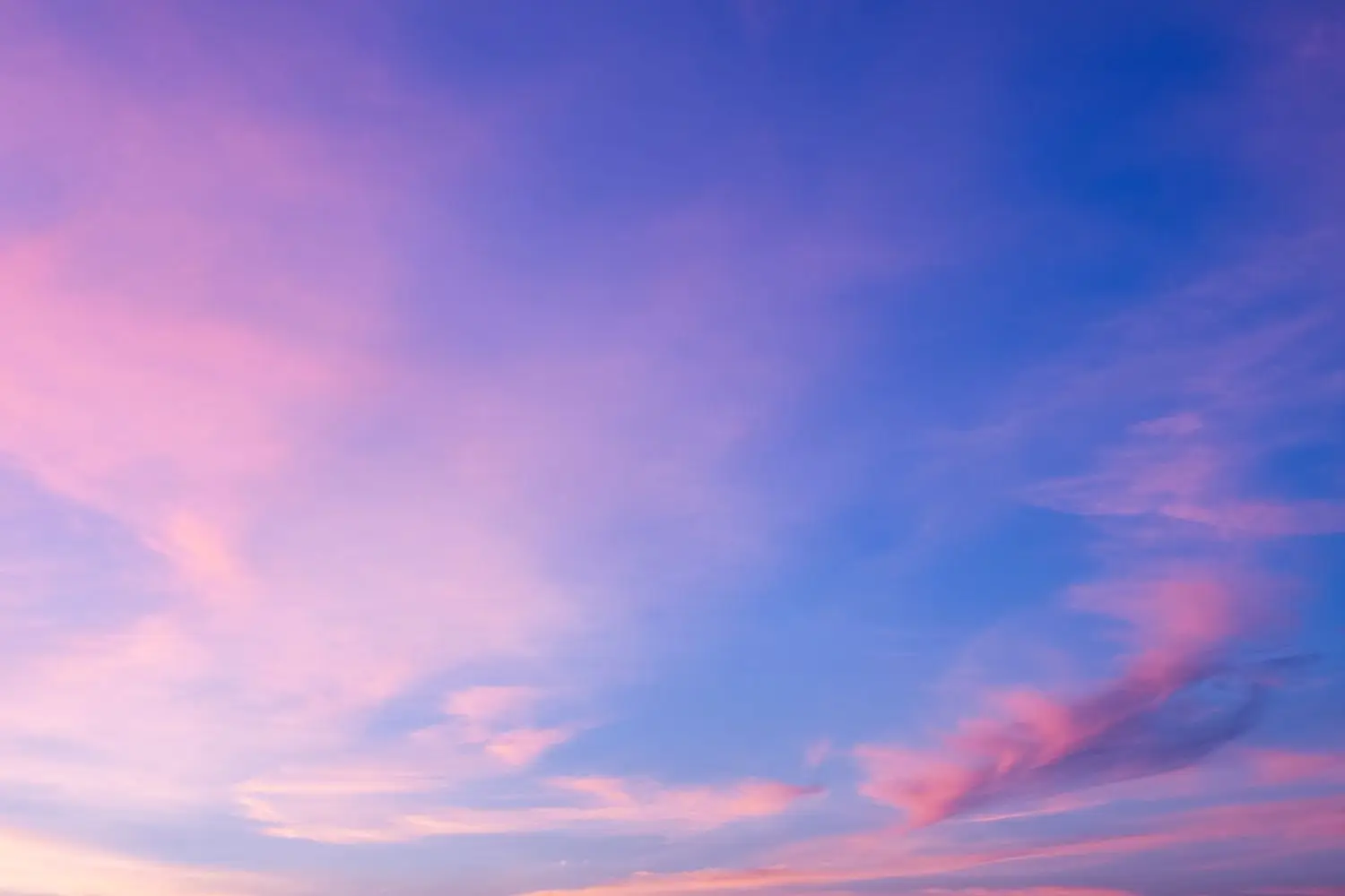 15 Best Things to Do in Linden, NJ