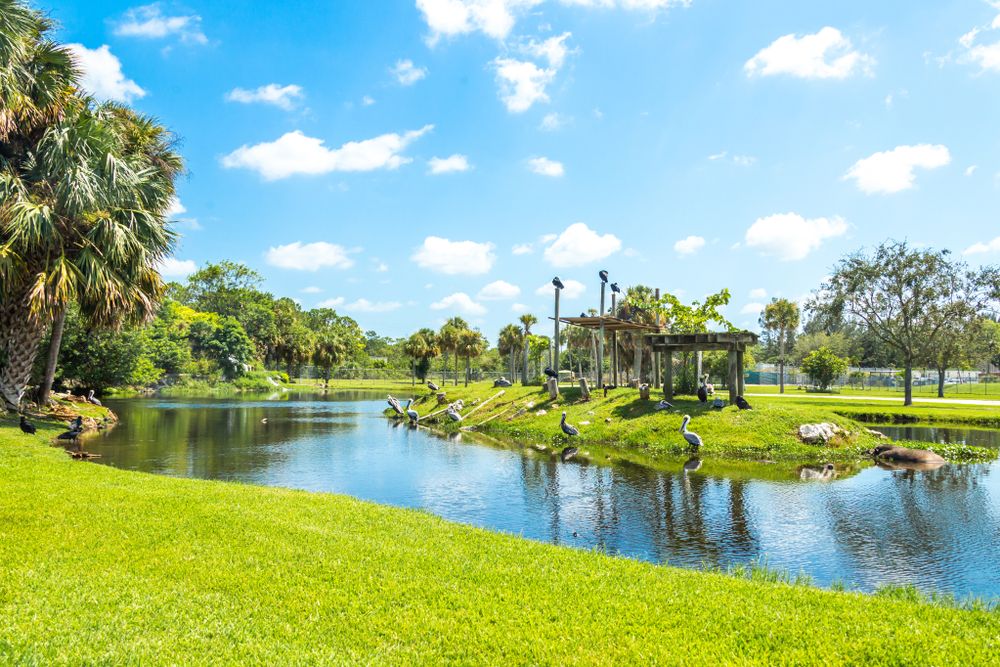 View of Lion Country Safari