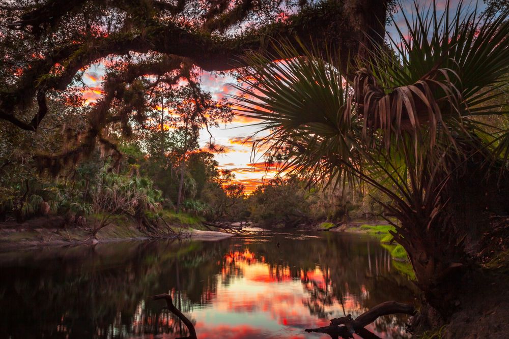 View of the Scenic Water in Little Big Econ State Forest