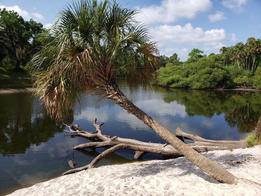 View of the Scenic Water in Little Big Econ State Forest
