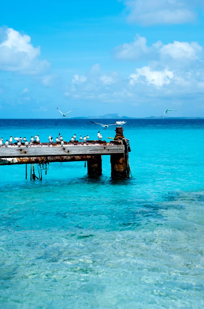 Rusted Pier at Little Curacao