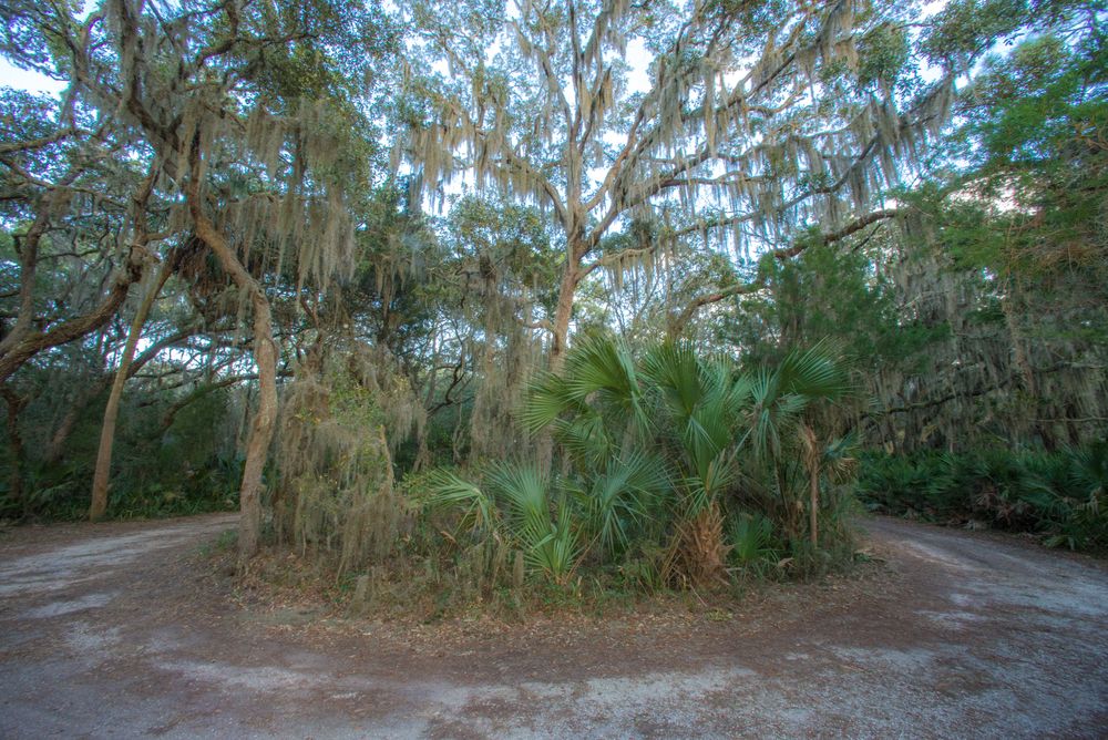 Scenic view of Little Talbot Island State Park