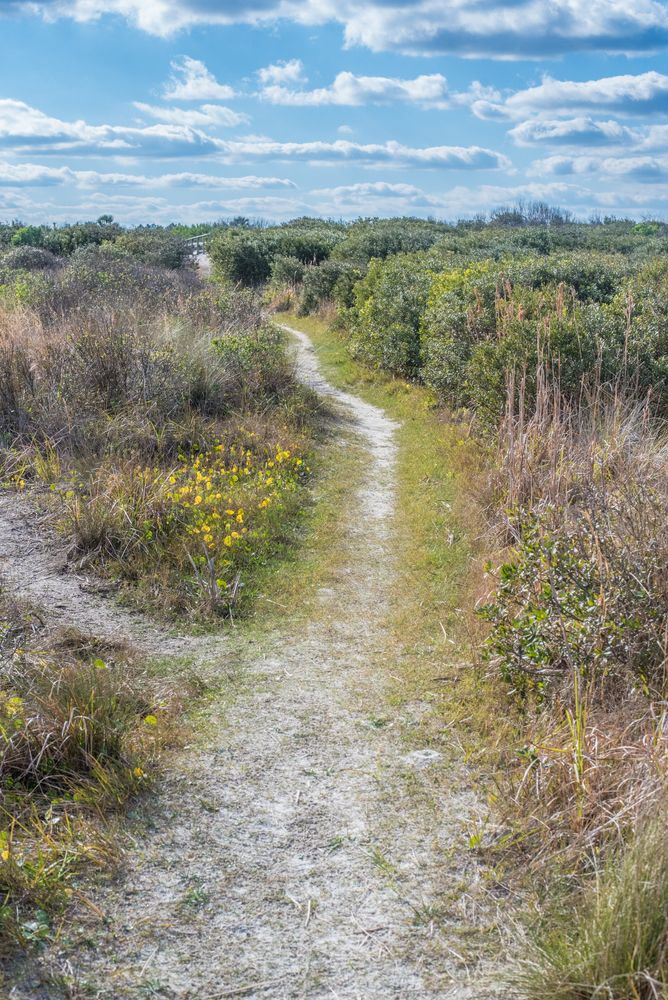 Nature trail at Little Talbot Island State Park