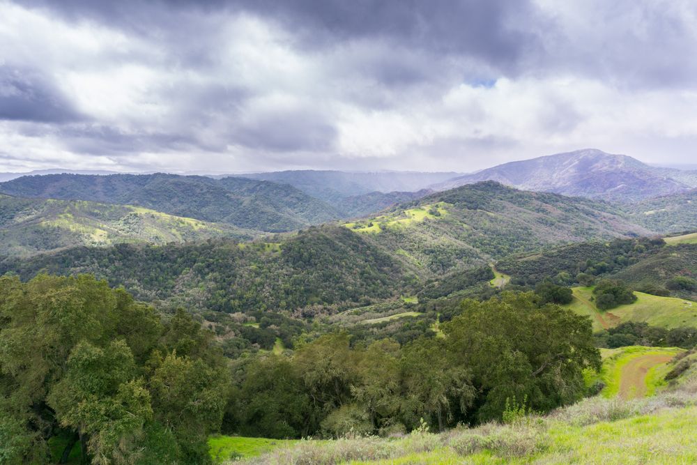 Scenic view of Santa Cruz mountains