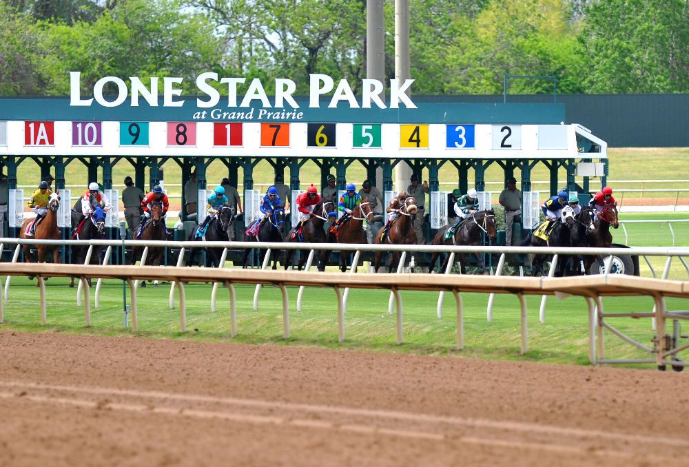 Horses at Lone Star Park