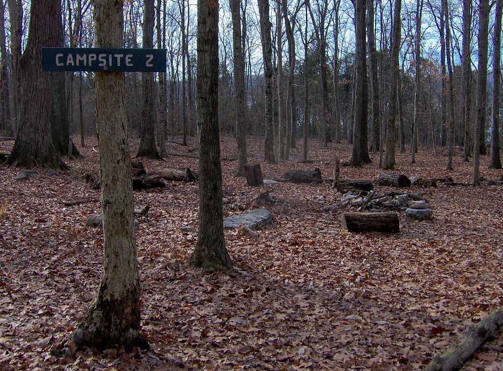 Campsite at Long Hunter State Park