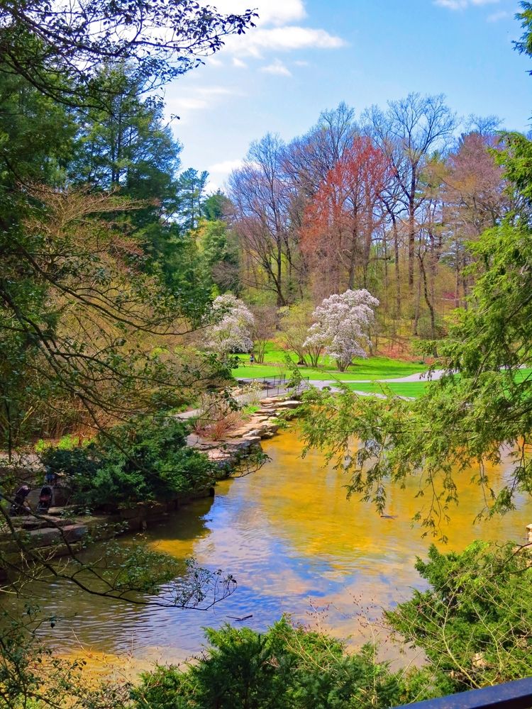 Pond at Longwood Gardens