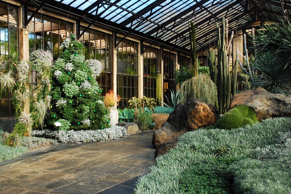 Beautiful greeneries at Longwood Gardens
