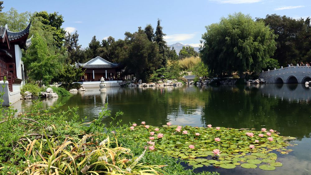 Pond at Los Angeles County Arboretum and Botanic Garden