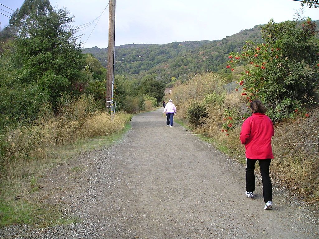 Hiking at Los Gatos Creek Trail in San Jose