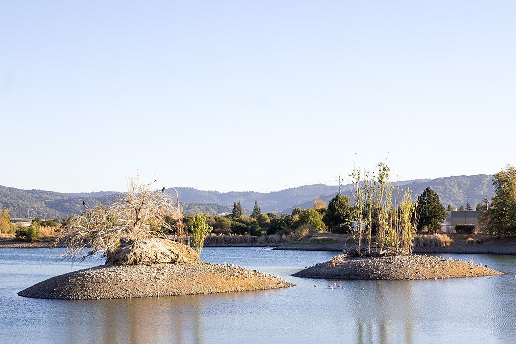 Pond at Los Gatos Creek Trail in San Jose