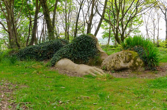 Lost Gardens Of Heligan