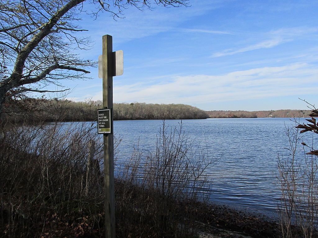 Scenic view of the Lowell Holly Reservation